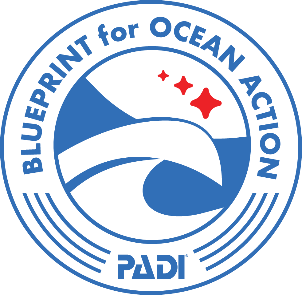 Logo du Projet PADI Blueprint pour l'Action Océanique
