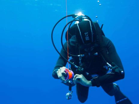 PADI AmbassaDiver - Afelandra Gonzalez