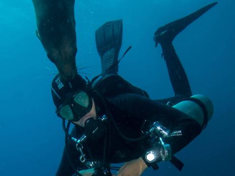 PADI AmbassaDiver - Afelandra Gonzalez