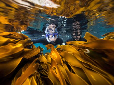 PADI AmbassaDiver - Young Explorers