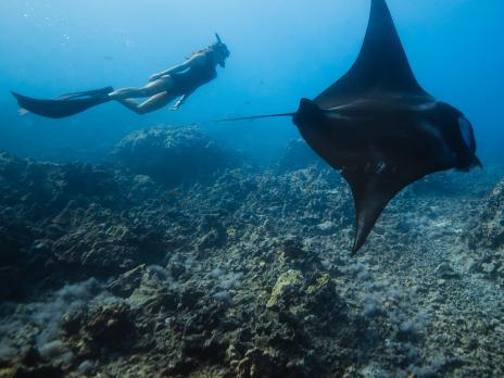 PADI AmbassaDiver -Megan Hassa