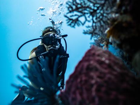 PADI AmbassaDiver -Megan Hassa