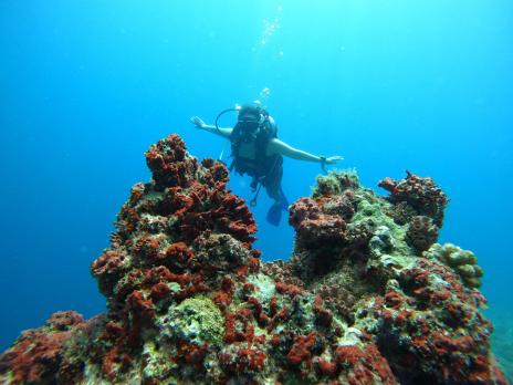 Sonakshi Sinha posing underwater.