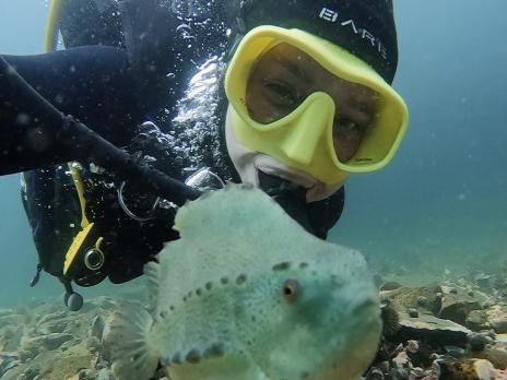 PADI AmbassaDiver Jillian Taylor scuba diving with a lumpfish.