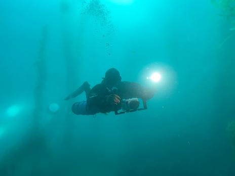 PADI AmbassaDiver Sarah Miller scuba diving underwater.