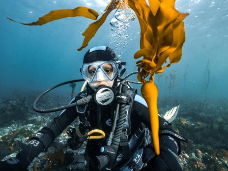 Lennox for Junior PADI AmbassaDivers