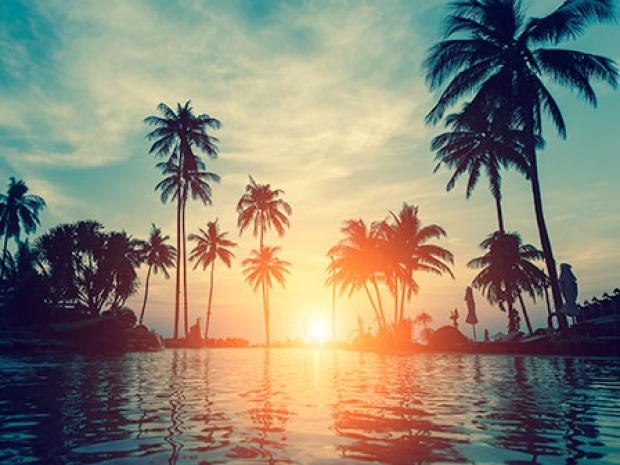 PADI - New Experiences