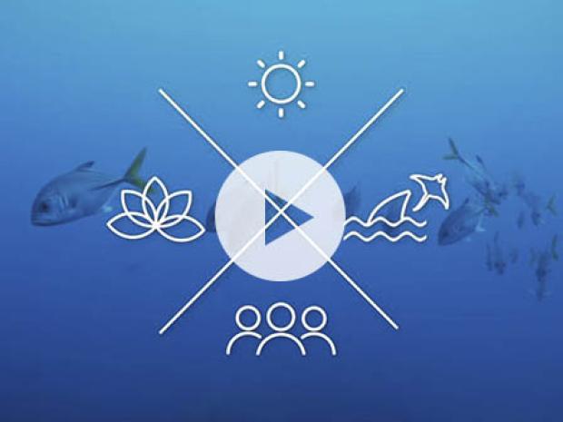 PADI - Pillars of Change