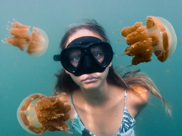 PADI AmbassaDiver -Megan Hassa