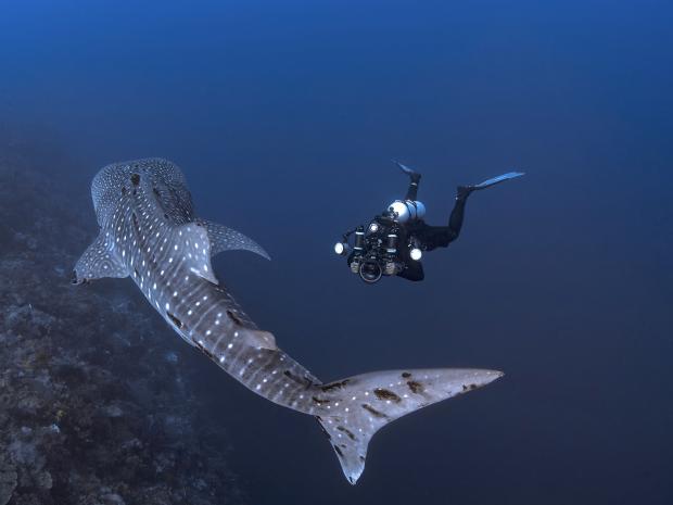 PADI AmbassaDiver - Bo Mancao