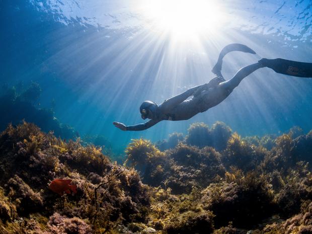 Freediving FAQs Card