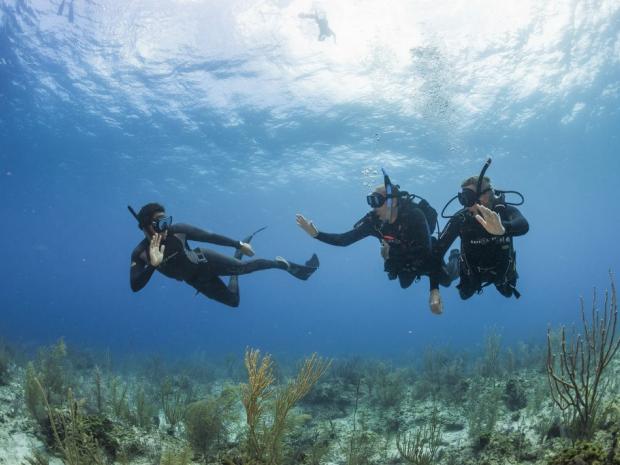 Free Diving vs Scuba Diving