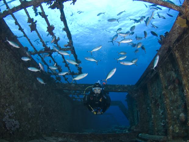 Alex Mustard photography tips