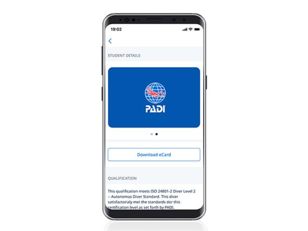 replacement card ecard