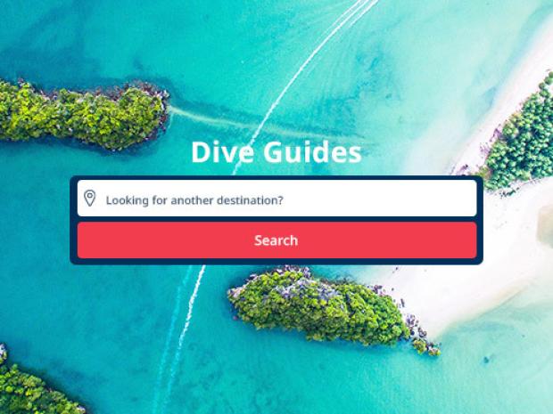 Dive guides search screen