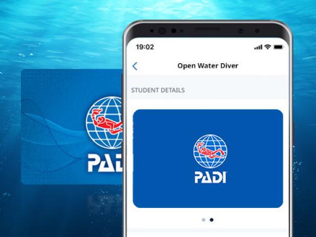 Certification card screen