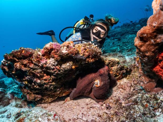 Maelly Faure scuba diving along the coral reef