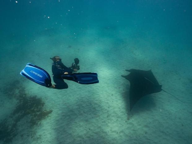 Nate Porter up close and personal with a manta ray