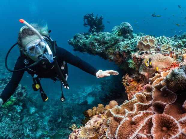 Sophie Morgan diving and admiring all the life underwater