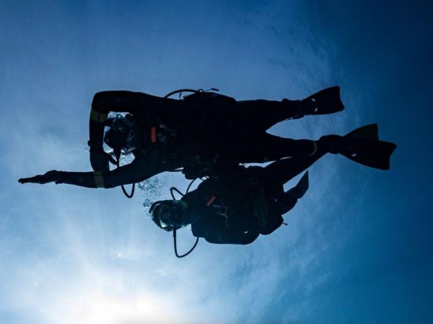 Divers swimming in the ocean