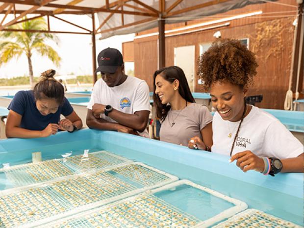 Four people looking at a grid in water.