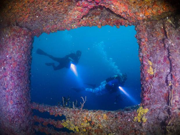 Grow Customer Lifetime Value with PADI Club