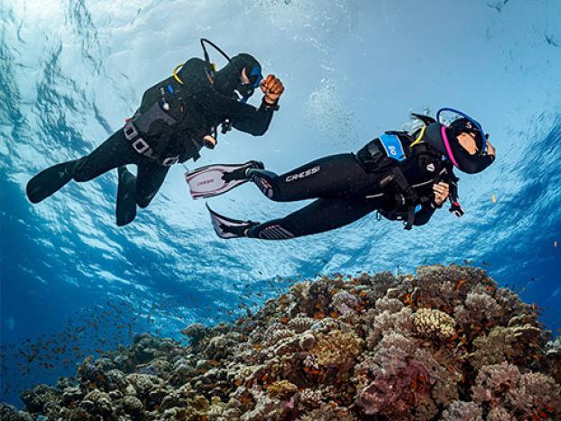 The Value of PADI Club