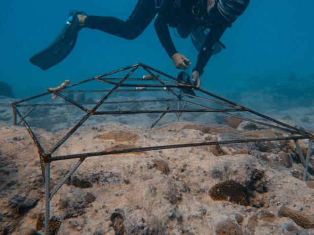 Selina buoyancy Dive Rarotonga