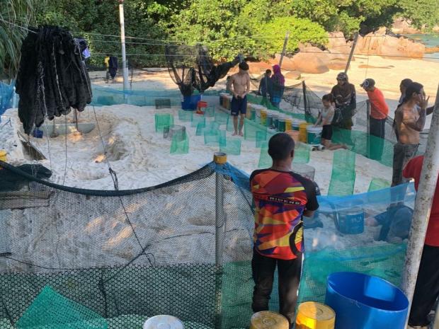 Bubbles Dive Resort On the Sand set up