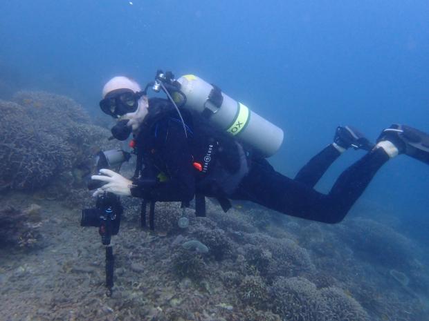 Bongo Bongo Divers house reef survey