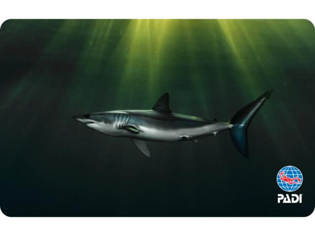 mako shark