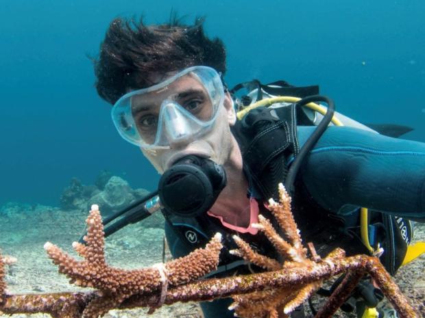 Blue Corner Dive - Andrew Taylor (founder - director) underwater at restoration site
