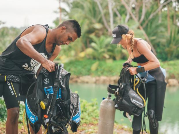 The way the world learns dive