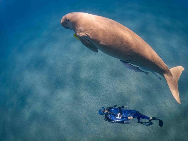 Creating balance with humanity and the ocean 