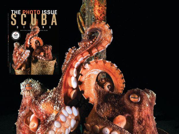 image of octopus next to a magazine cover