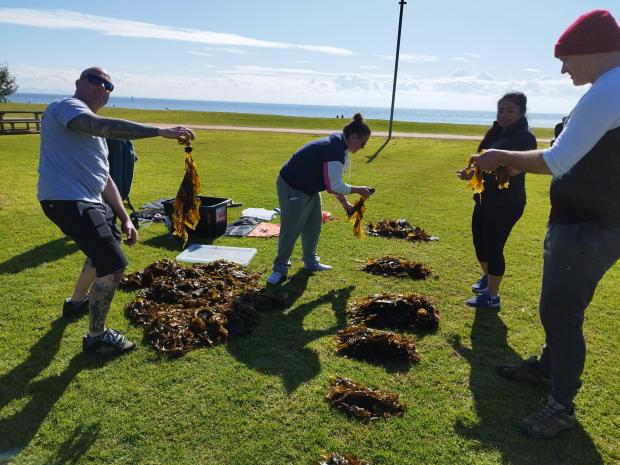 Australian Diving Instruction