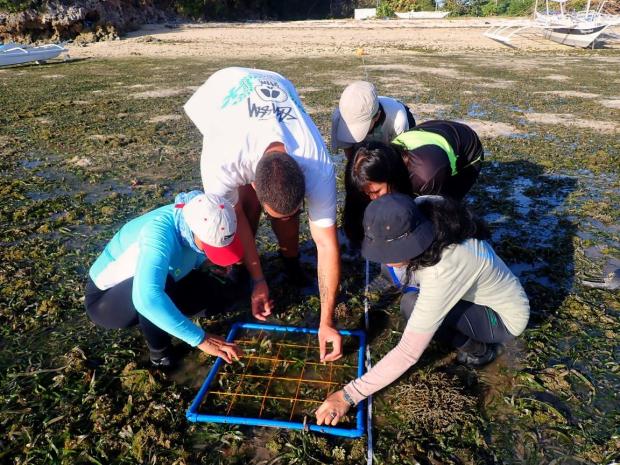 0123 - People and the Sea - Seagrass survey
