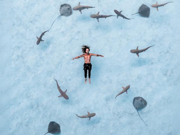 Andre Smits swimming with rays and sharks