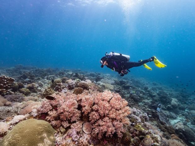 Hannah Pangilinan scuba diving