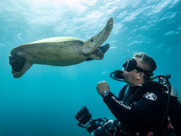 A diver with a sea turtle.