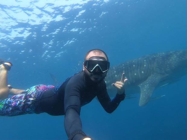 Hassan Khaual swimming with Whale Shark