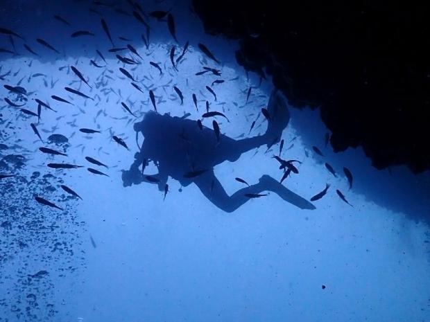 Brandon for Junior PADI AmbassaDivers