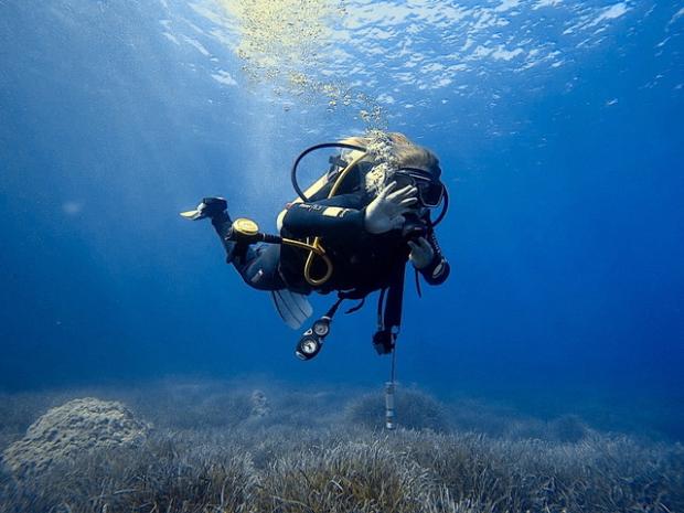 Alaia for Junior PADI AmbassaDivers