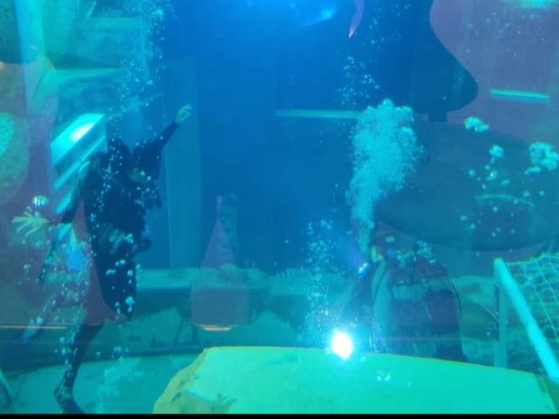 Ashrita for Junior PADI AmbassaDivers