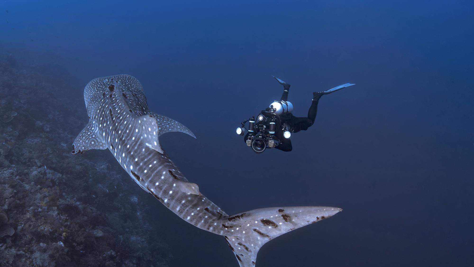 PADI AmbassaDiver - Bo Mancao