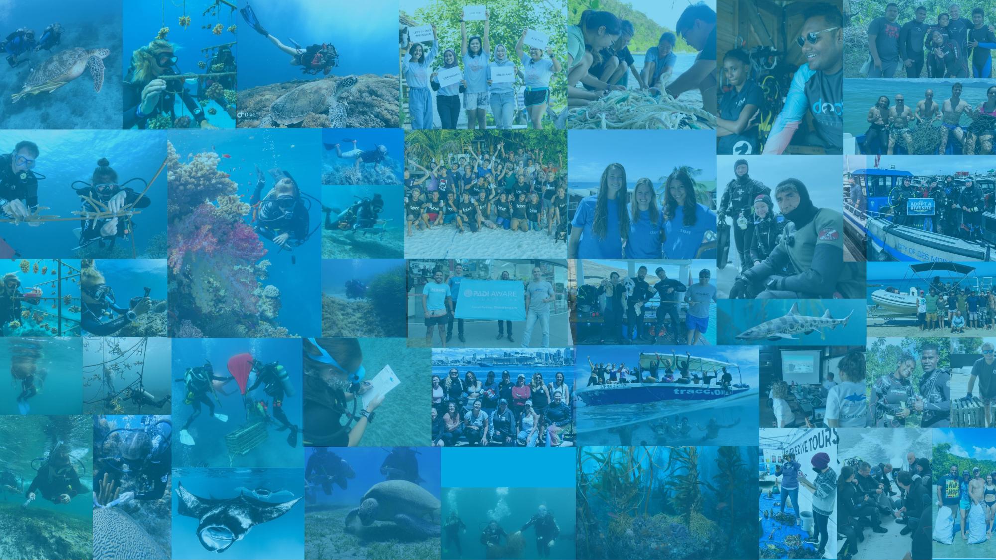 PADI AWARE Header Image Holiday Campaign
