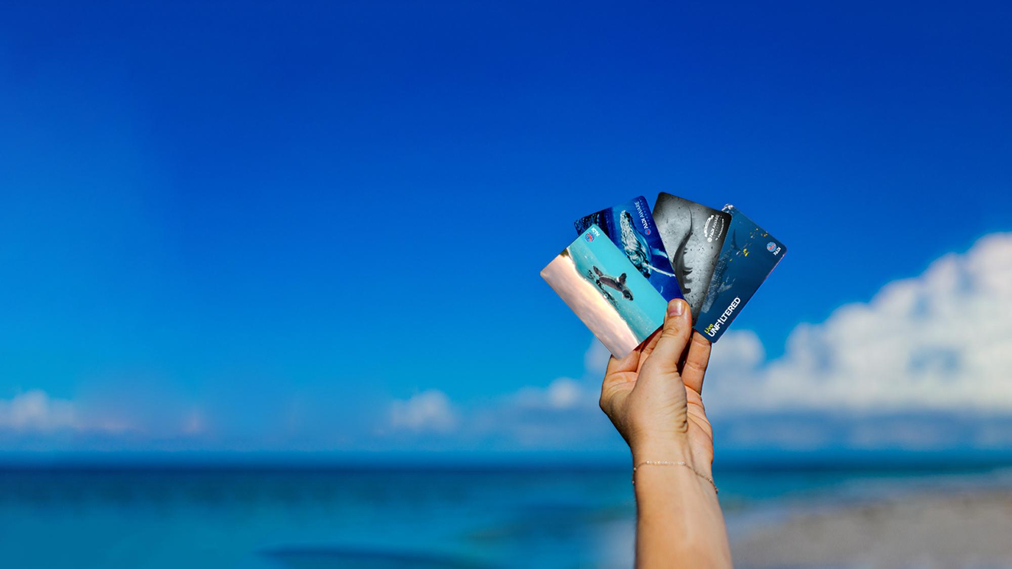 PADI-Hero-Small-CertCards