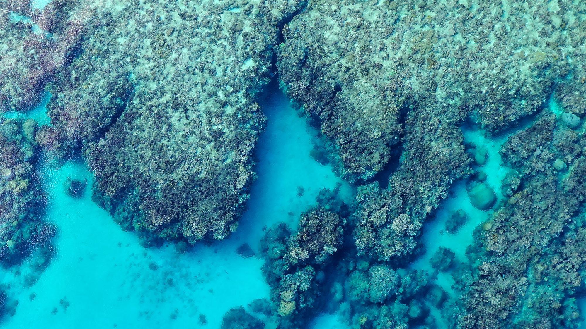 Image banner for the AWARE Partners page