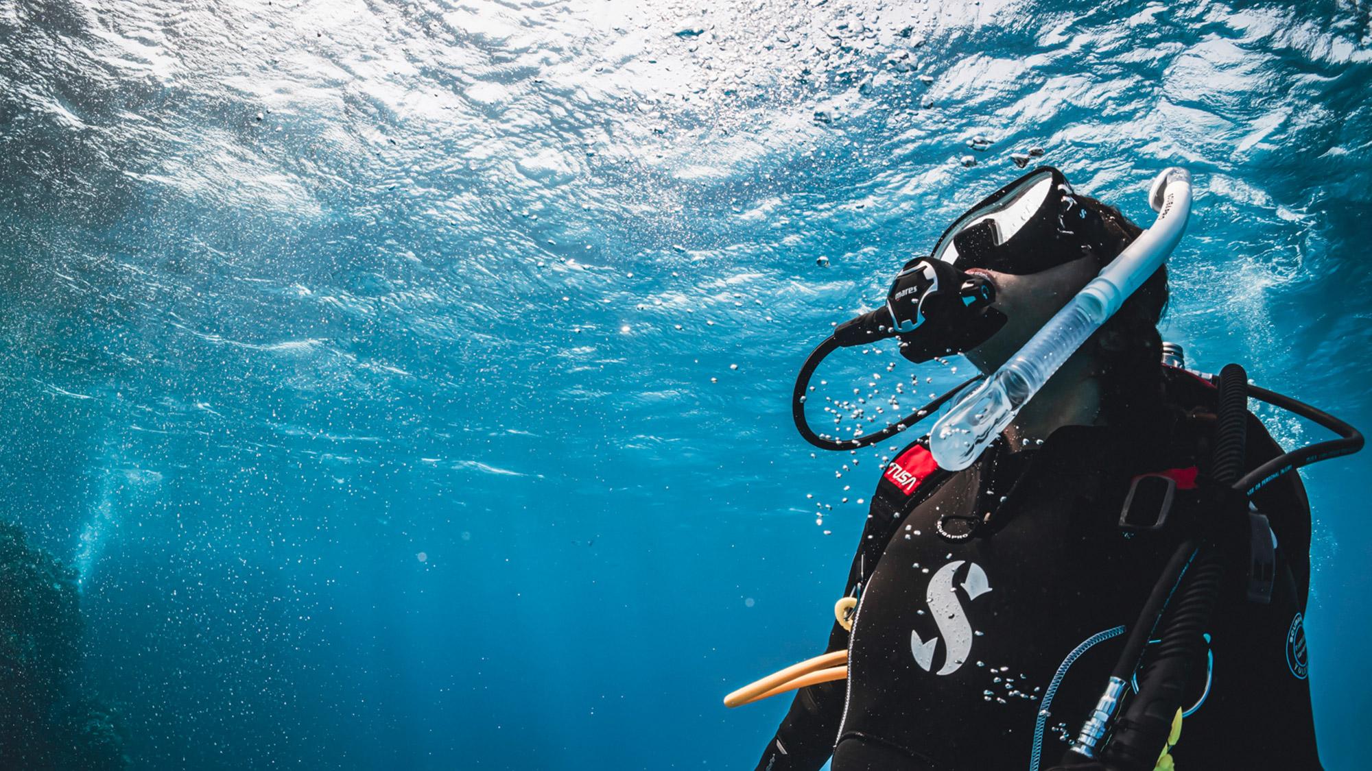 Scuba diver looking up near water surface level