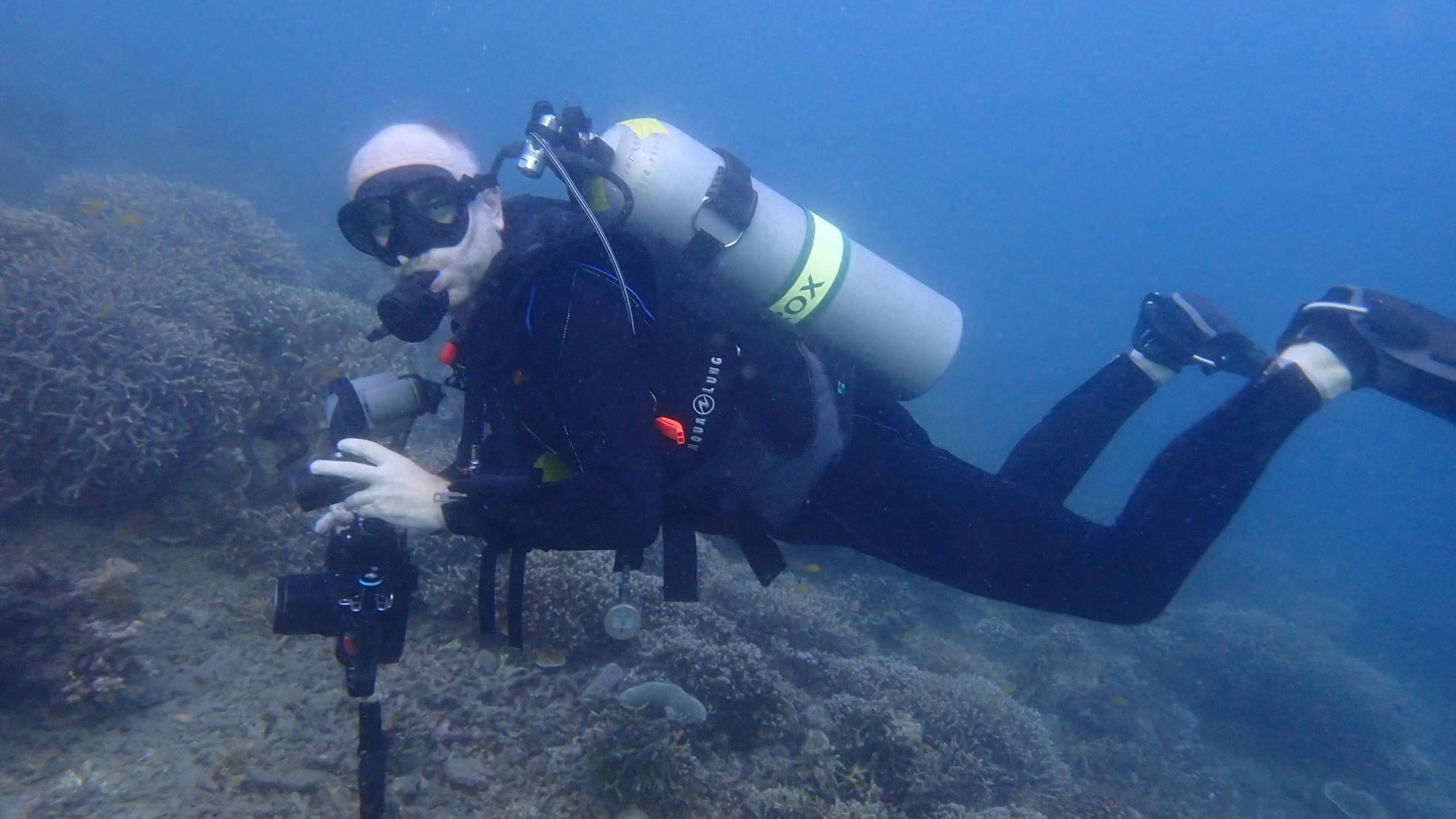 Bongo Bongo Divers house reef survey